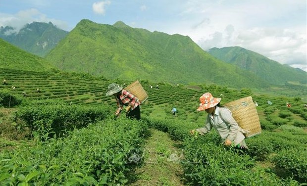 More efforts invested in poverty reduction in ethnic minority areas